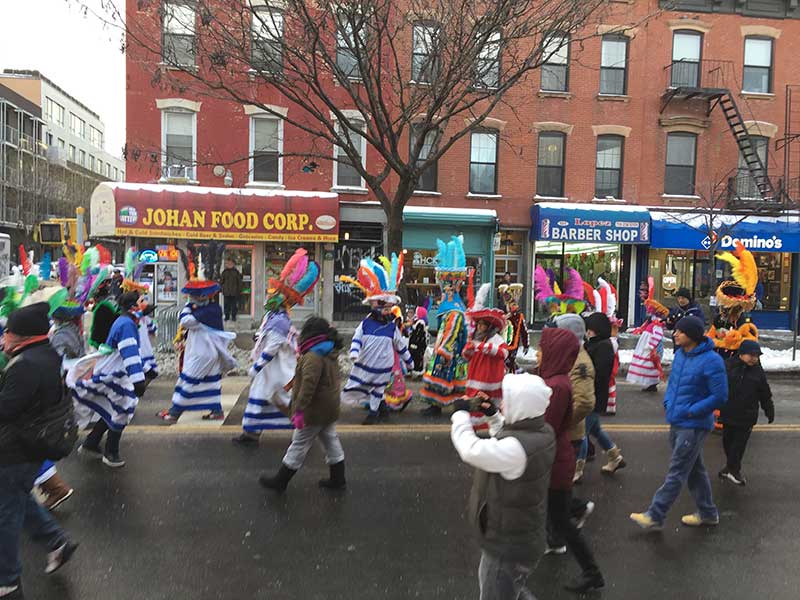 Three Kings Parade- Camel in Brooklyn