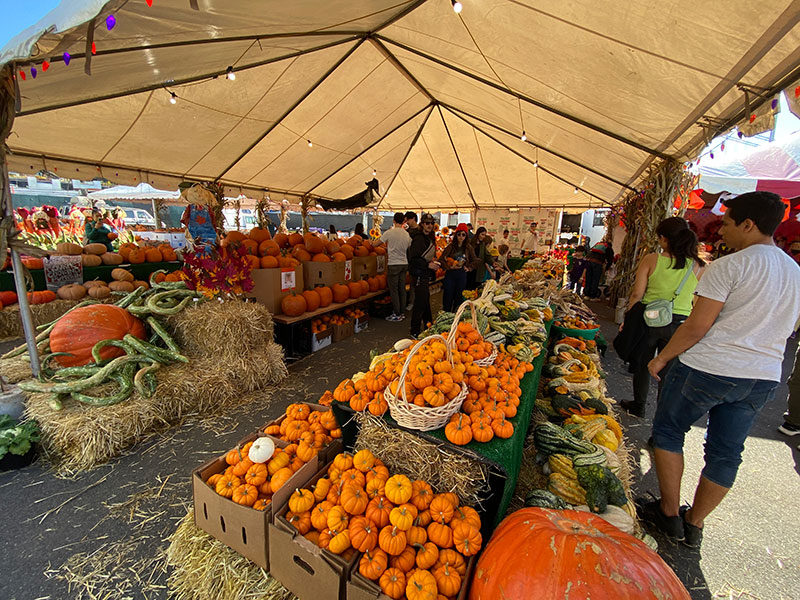 decorative gourds are piled high