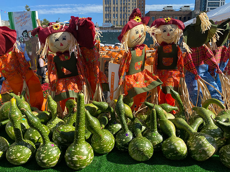 decorative gourds and scarecrows