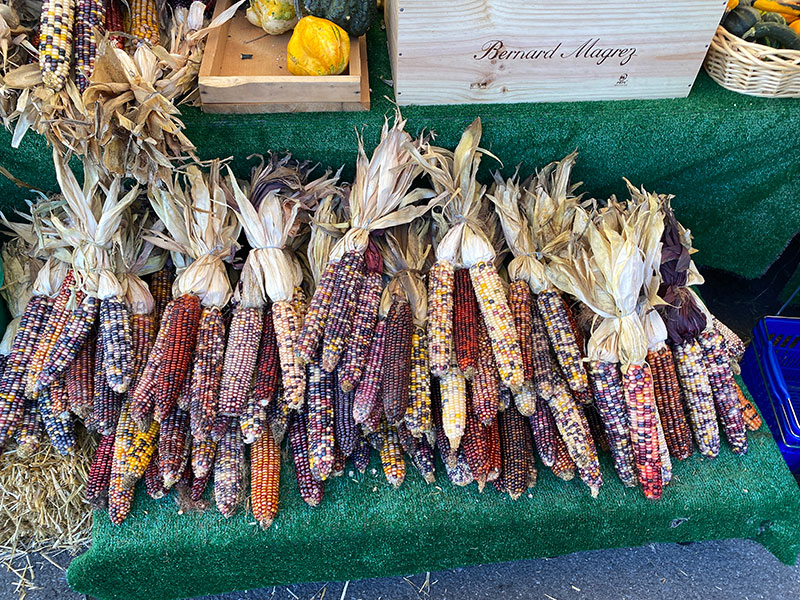 Decorative corn