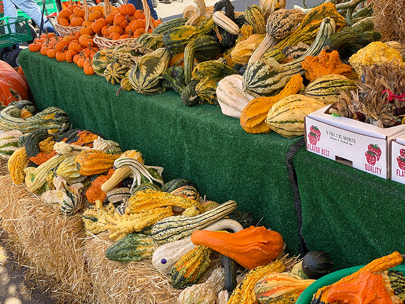 Decorative gourds