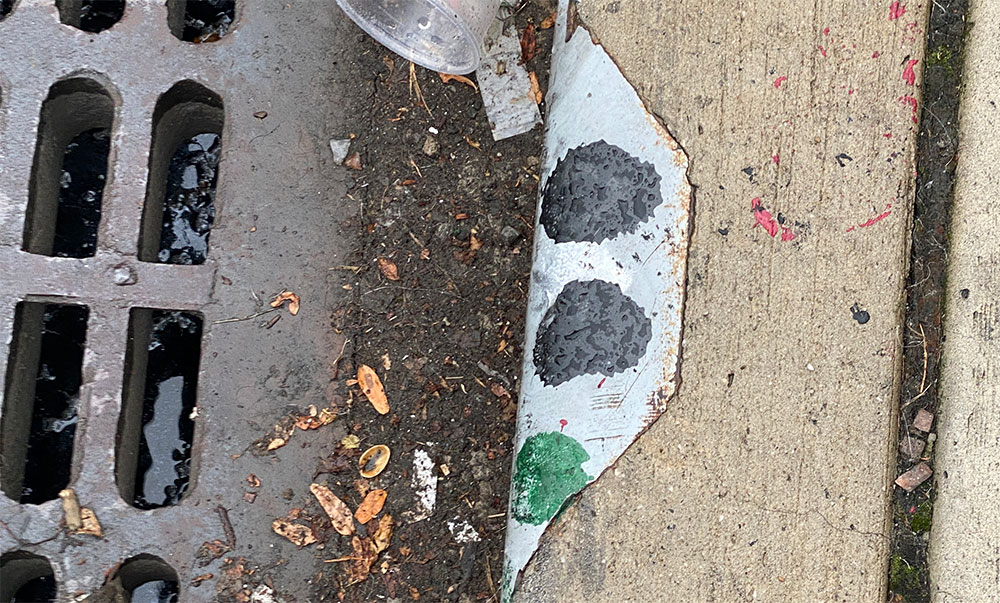 spray paint dots indicated a catch basin has been treated